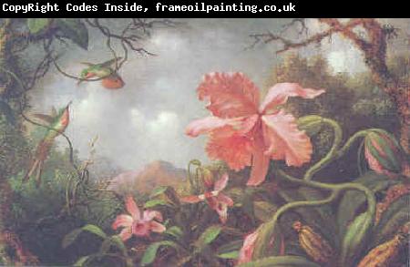 Martin Johnson Heade Hummingbirds and Two Varieties of Orchids